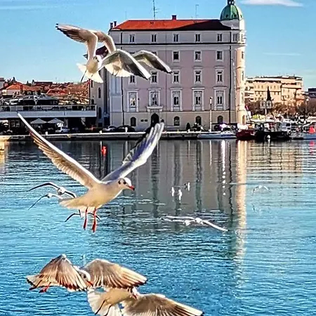 Superior Luxury Apartmán *